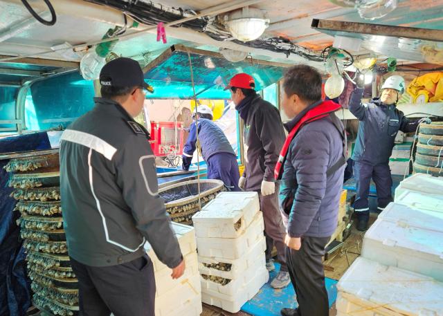 강릉해양경찰서가 2일 강릉시 주문진항에서 동절기 해양사고 예방을 위해 유관기관과 함께 원거리 조업선 10여 척 대상 안전 점검을 실시하고 있다 사진강릉 해경