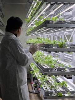 에이바이오머티리얼즈, 336종 스킨부스터 제형 매트릭스 구축… 스킨부스터 ODM 기업 도약