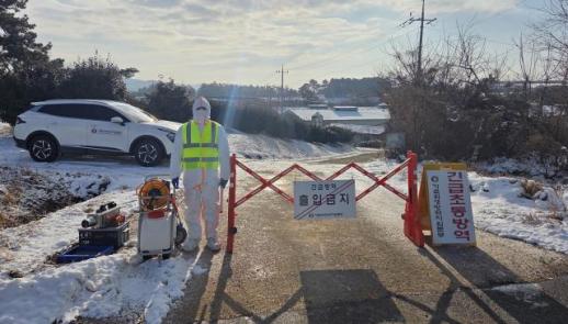 나주 종오리농장서 H5형 조류인플루엔자 항원…확산 차단 총력