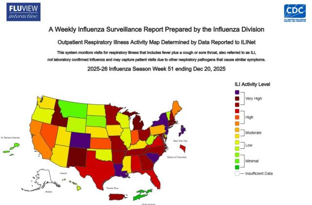미 질병예방통제센터CDC의 독감 확산 분포도 사진미 질병예방통제센터