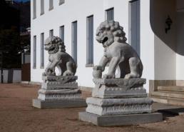 황희찬, 1골 1도움 맹활약…울버햄프턴 EPL 개막 20경기 만에 첫 승 견인