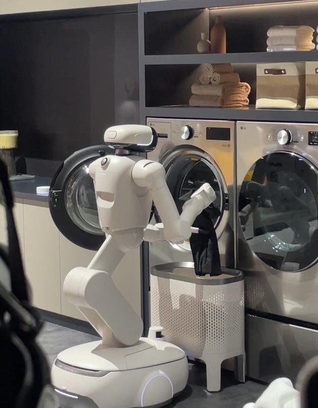 사진이효정 기자