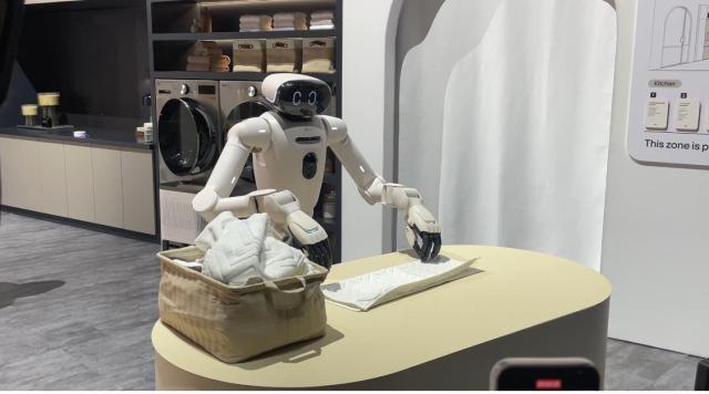 사진이효정 기자