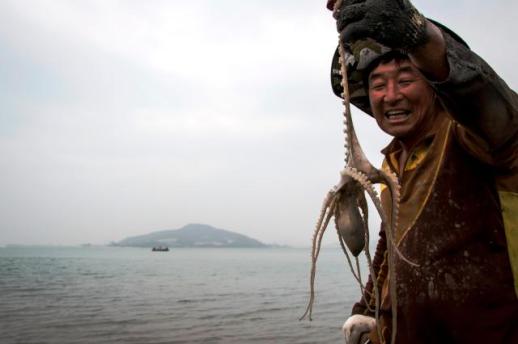 무안군, 군어(郡魚) 낙지 공식 지정…수산정책·해양관광 연계 본격화