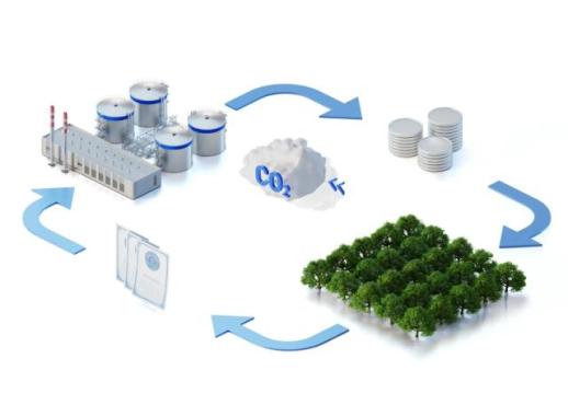 [NNA] 日 아수에네, 세부 거점 지점으로 격상