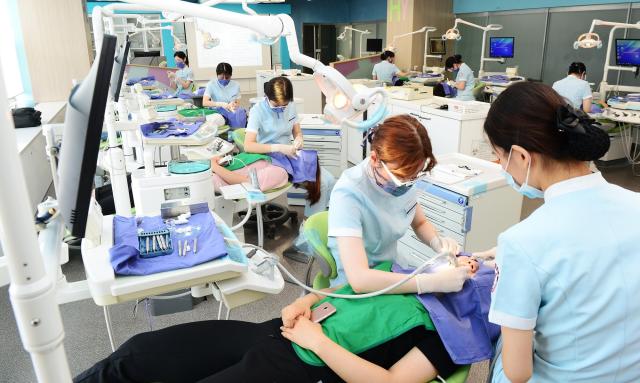 대구보건대, 대구 지역 전문대학 중 취업률 1위…취업률 77.7%