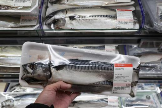 고등어 가격 고공행진…해수부, 25일까지 특별 할인전