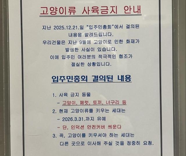 고양이 키우는 세대는 3월까지 이사…인천 서구 오피스텔 공지 논란