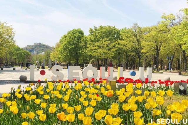 Công viên Rừng Seoul Seoul Forest Park ẢnhThành phố Seoul
