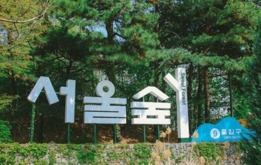 Công viên nào tại Seoul được người Hàn yêu thích nhất?