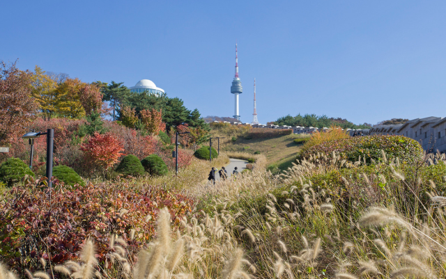 Công viên Namsan ẢnhInternet