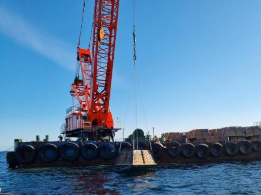 양양군, 해삼 특화 양식사업 가시적 성과…지역 수산업 경쟁력 강화 박차 外