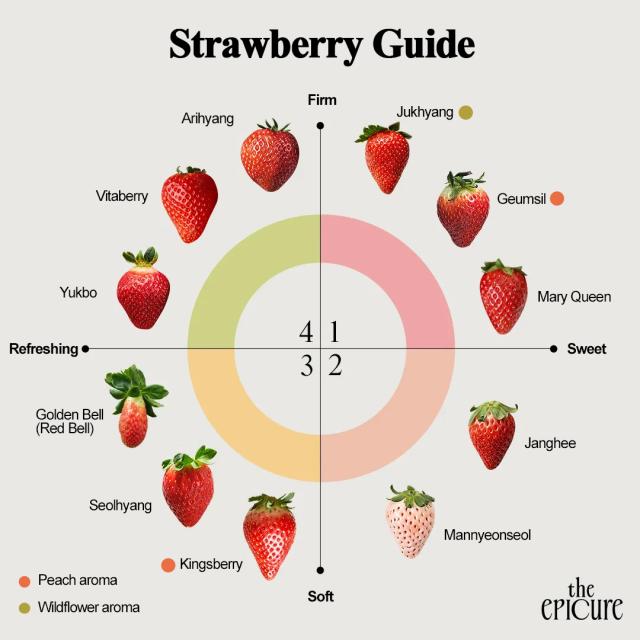 Graphics by AJP Song Ji-yoon
