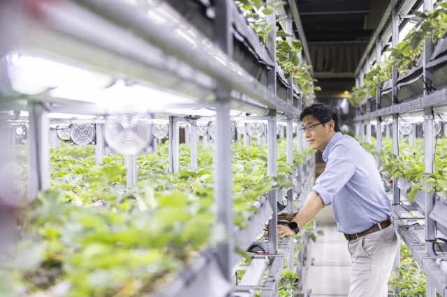 Lee Sang-hun CEO of Agro Solution Korea