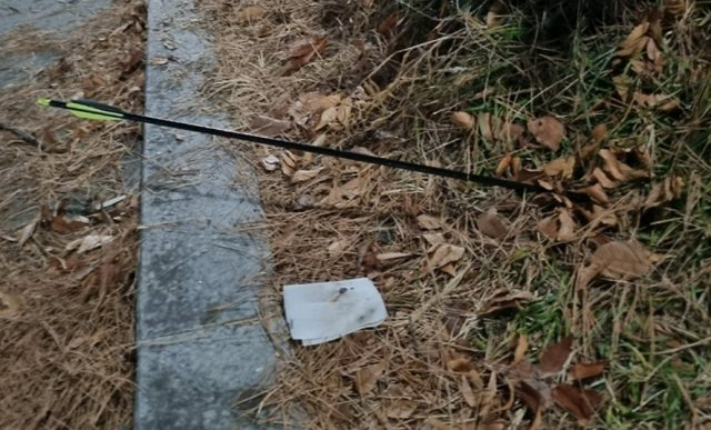 강아지 산책 중인 여성에 '활' 쏜 2명, 신원 특정됐다