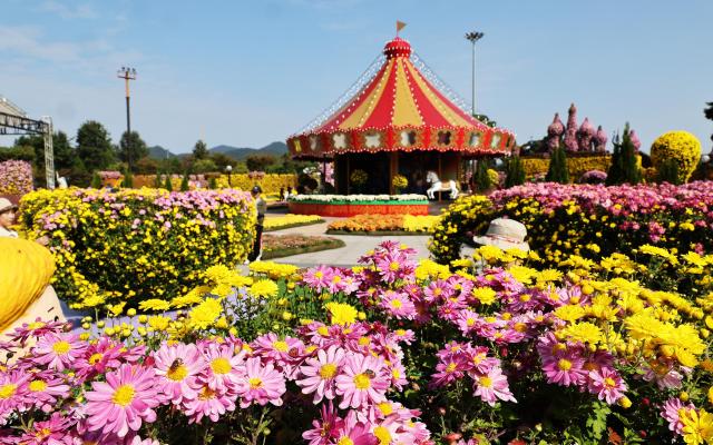 함평 대한민국 국향대전, 3년 연속 '대한민국 축제 콘텐츠 대상' 수상