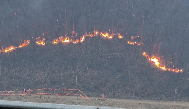 김천 야산서 불…헬기 5대 투입, 40분 만에 진화