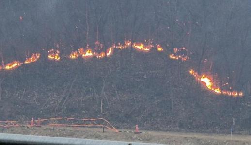 김천 야산서 불…헬기 5대 투입, 40분 만에 진화