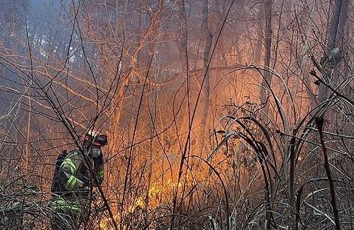 대설 위기경보 주의 발령…중대본 1단계 가동