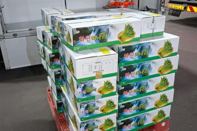 대구 달성군의 지역 특산물인 ‘화원 미나리’가 가락시장 등 수도권 시장에 출하돼 전국 소비자들에게 선보인다 사진대구달성군
