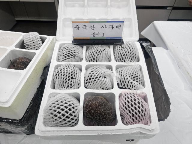 검역 피해 불법 수입 '中 농산물 1150톤' 적발…역대 최대 규모