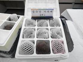 South Korea seizes record 1,150 tons of illegally imported Chinese farm goods