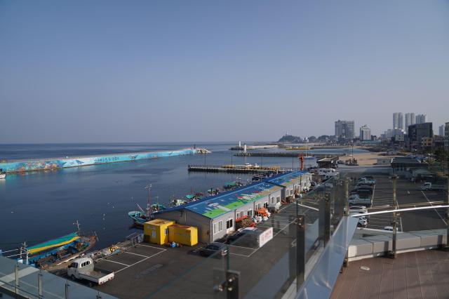 속초시 항구 사진속초시