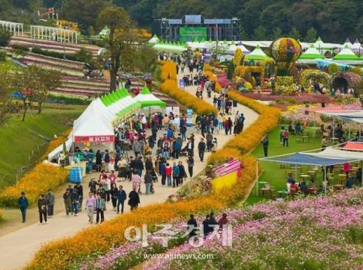 화순 고인돌 가을꽃 축제 전남 대표 축제로 선정 