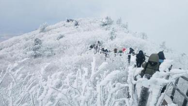雪落德裕山 晶花绽高巅