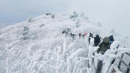 雪落德裕山 晶花绽高巅