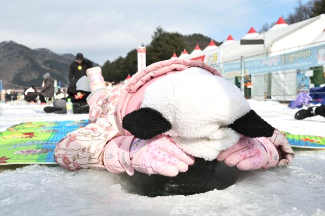 A child lies on the ice to peer into a fishing hole at the Hwacheon Sancheoneo Ice Festival in Hwacheon Gangwon Province Jan 12 2026 AJP Han Jun-gu