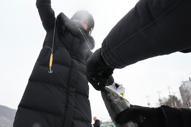 Visitors catch a mountain trout at the Hwacheon Sancheoneo Ice Festival in Hwacheon Gangwon Province Jan 12 2026 AJP Han Jun-gu