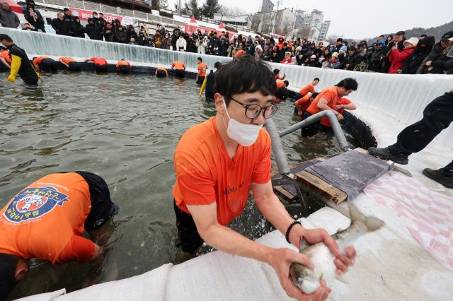 Participants catch mountain trout with their bare hands in icy water at the Hwacheon Sancheoneo Ice Festival in Hwacheon Gangwon Province Jan 12 2026 AJP Han Jun-gu