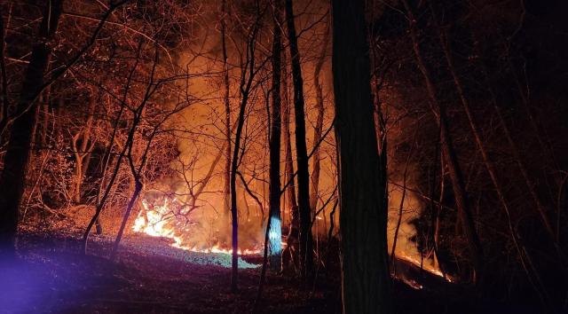 산불 장면 사진아주경제DB