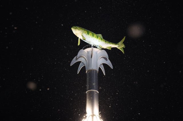 A mountain trout model is illuminated under the night sky at the Hwacheon Sancheoneo Ice Festival in Hwacheon Gangwon Province Jan 12 2026 AJP Han Jun-gu