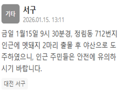 대전 서구 정림동서 멧돼지 2마리 출몰…야산으로 도주