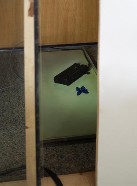 홍애린 뮤직 사이렌Music Siren 2026 가변 크기 병 속의 나비 장난감 피아노 모듈 시스템 사진이의록