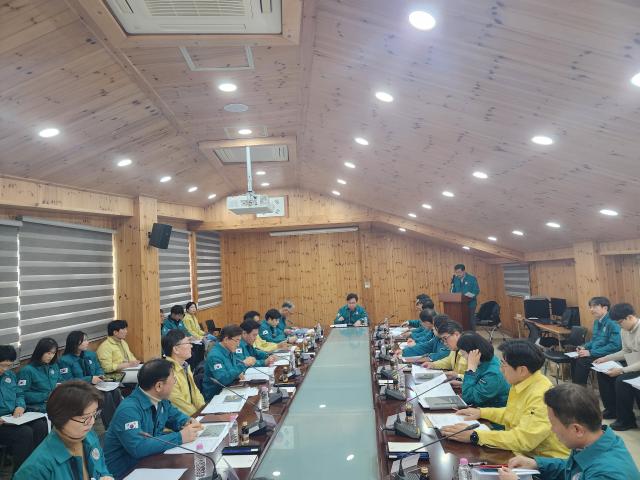 충남도, 소나무재선충병 집중방제 '총력 대응'