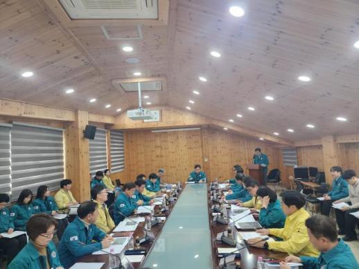 충남도, 소나무재선충병 집중방제 총력 대응