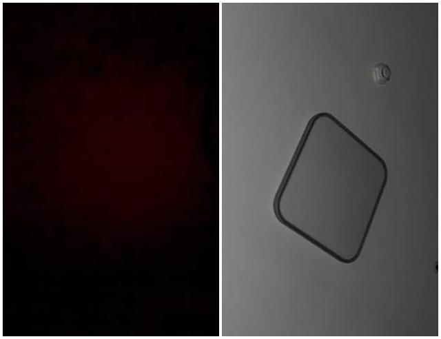 권민아가 16일 새벽 올린 사진왼쪽과 해명글에 게시한 사진 사진권민아 SNS