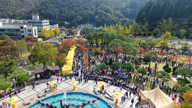 지난해 개최된 김천 김밥축제 장면 사진경상북도