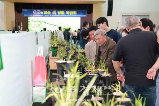 전남 화순 춘란 마침내 수출길...전국 최초 
