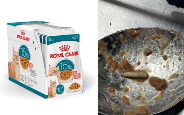 소비자A씨가 구매한 로얄캐닌 캣 에이징 15+ 파우치 그레이비 제품에서 나온 이물질 사진인터넷 커뮤니티