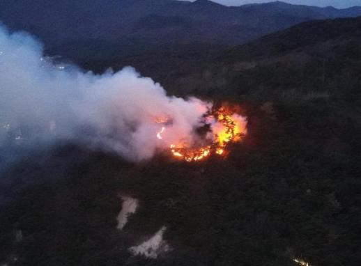 [속보] 경찰 출석한 강선우 원칙 지키며 살아와…사실대로 조사 임할 것