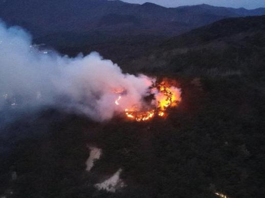 [속보] 경찰 출석한 강선우 원칙 지키며 살아와…사실대로 조사 임할 것