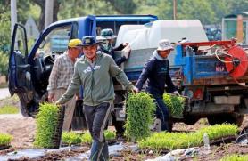 Xu hướng dịch chuyển của người nước ngoài tại Hàn Quốc…DHS chọn Seoul·Người lao động về miền Trung