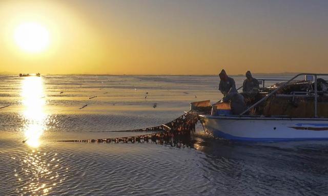 김채취 모습사진충남도