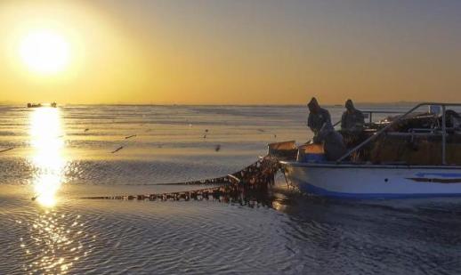 충남도, 전 세계 입맛 사로잡은 충남 김