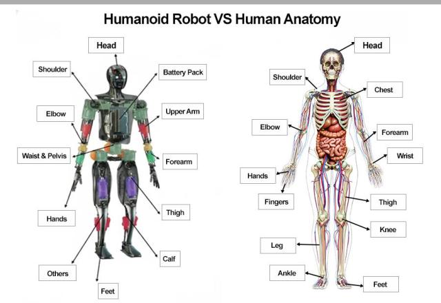 The birth of humanoid robots (1) Robo Sapiens: EVs with brains