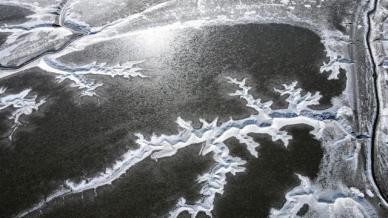 仁川江华郡船头港滩涂生树